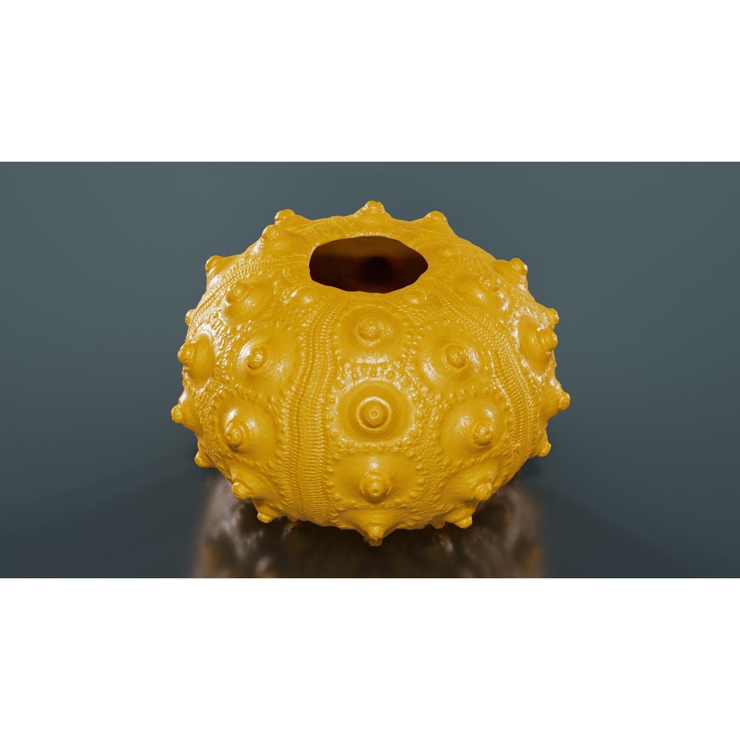 Sputnik Sea Urchin 3D Model – Low Poly Game Asset, FBX, Blender - View 14