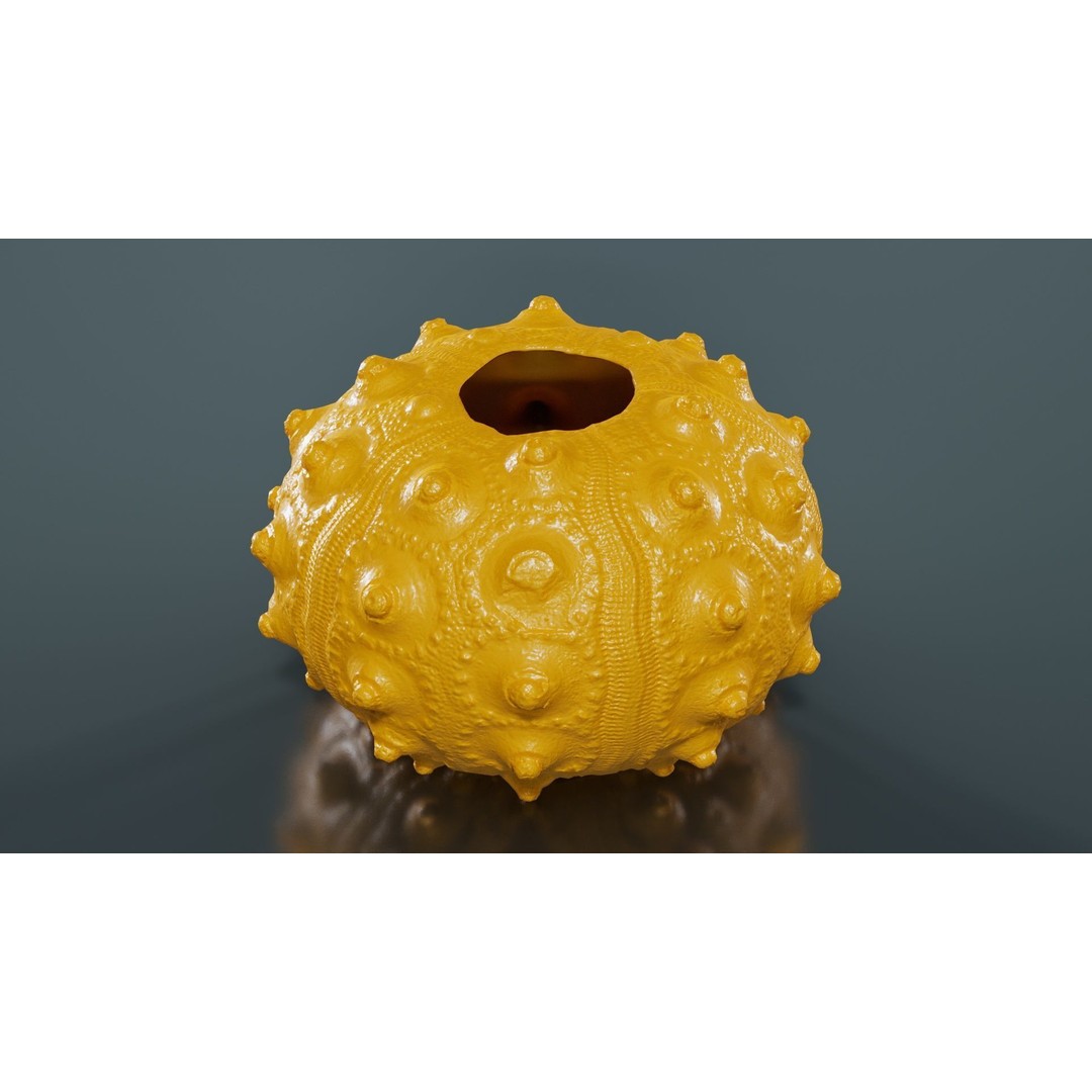 Sputnik Sea Urchin 3D Model – Low Poly Game Asset, FBX, Blender - View 15