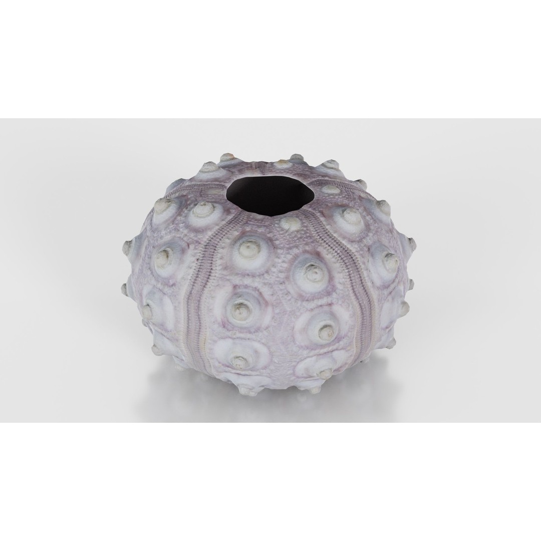 Sputnik Sea Urchin 3D Model – Low Poly Game Asset, FBX, Blender - View 19