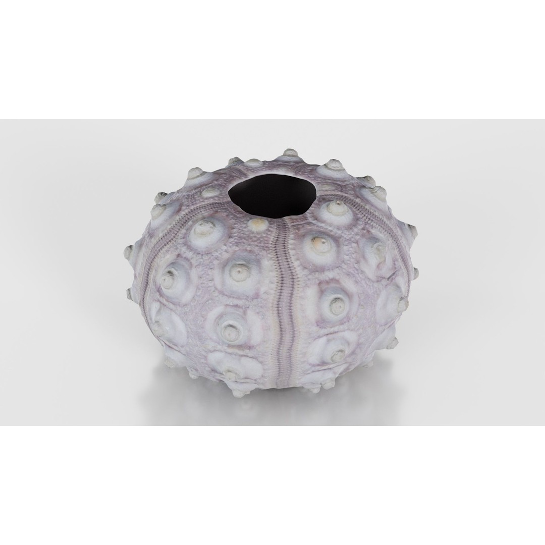 Sputnik Sea Urchin 3D Model – Low Poly Game Asset, FBX, Blender - View 25
