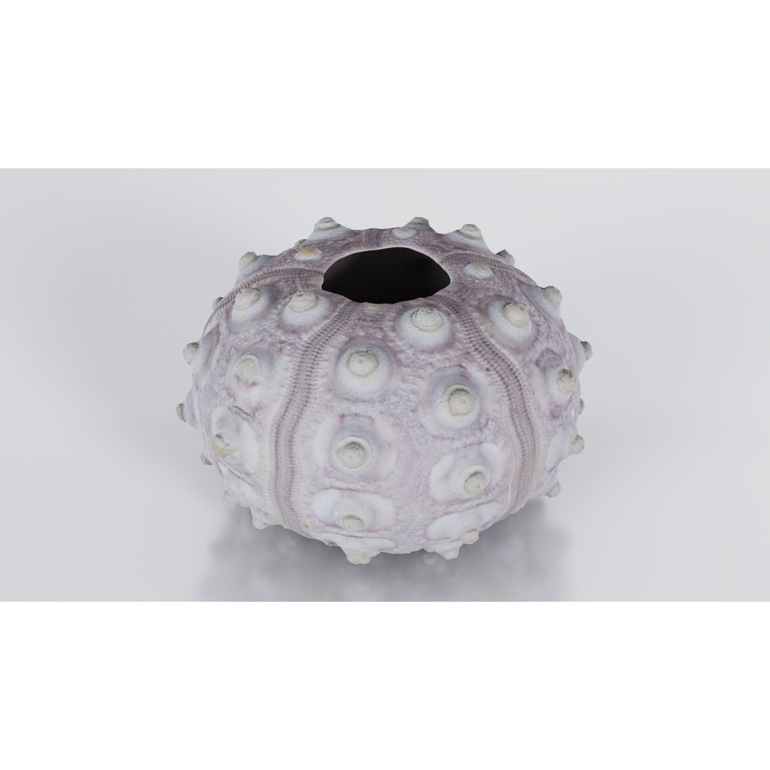 Sputnik Sea Urchin 3D Model – Low Poly Game Asset, FBX, Blender - View 6