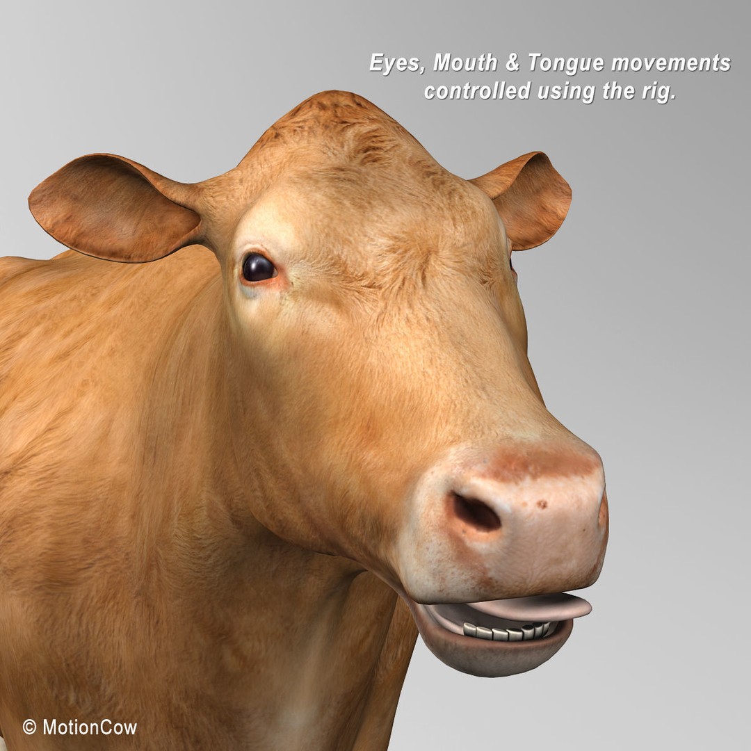 Limousin Cow 3D Model – Realistic Rigged Animal Asset, FBX - View 13