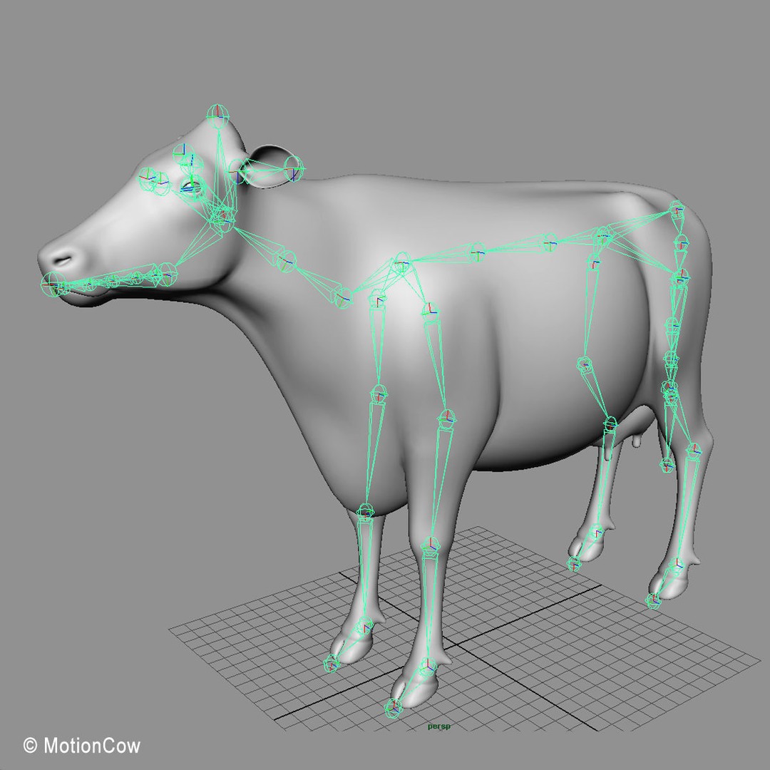 Limousin Cow 3D Model – Realistic Rigged Animal Asset, FBX - View 19