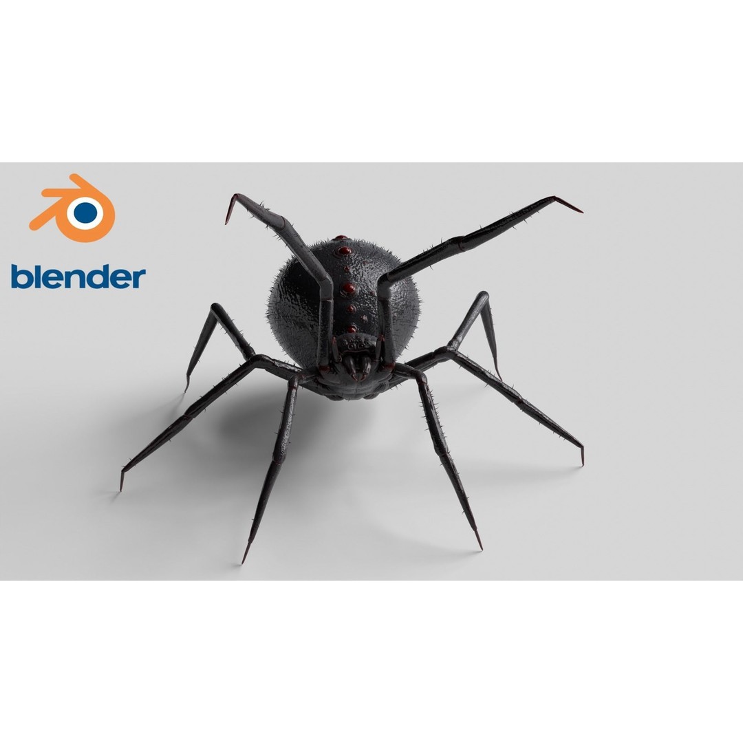 Spider 3D Model – Low Poly Rigged Insect with PBR Textures - View 10