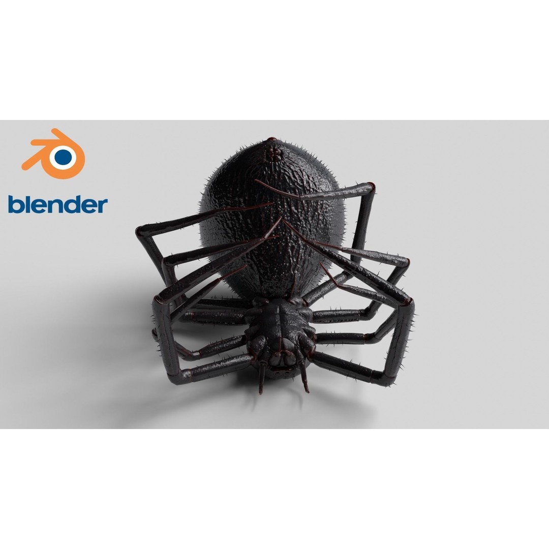 Spider 3D Model – Low Poly Rigged Insect with PBR Textures - View 11