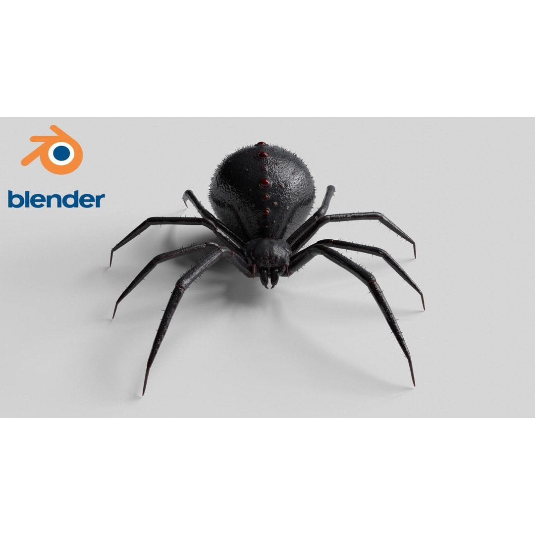 Spider 3D Model – Low Poly Rigged Insect with PBR Textures - View 12