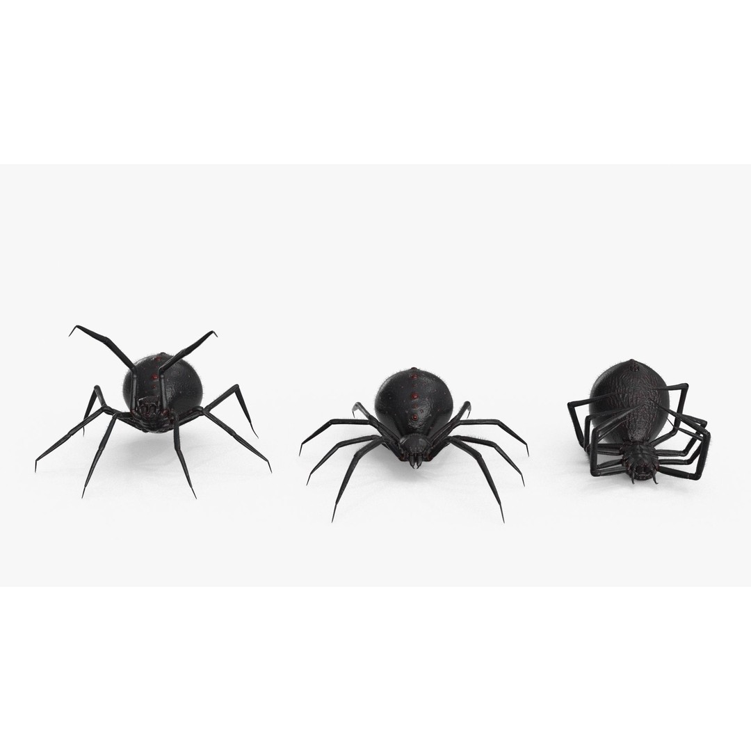 Spider 3D Model – Low Poly Rigged Insect with PBR Textures - View 13