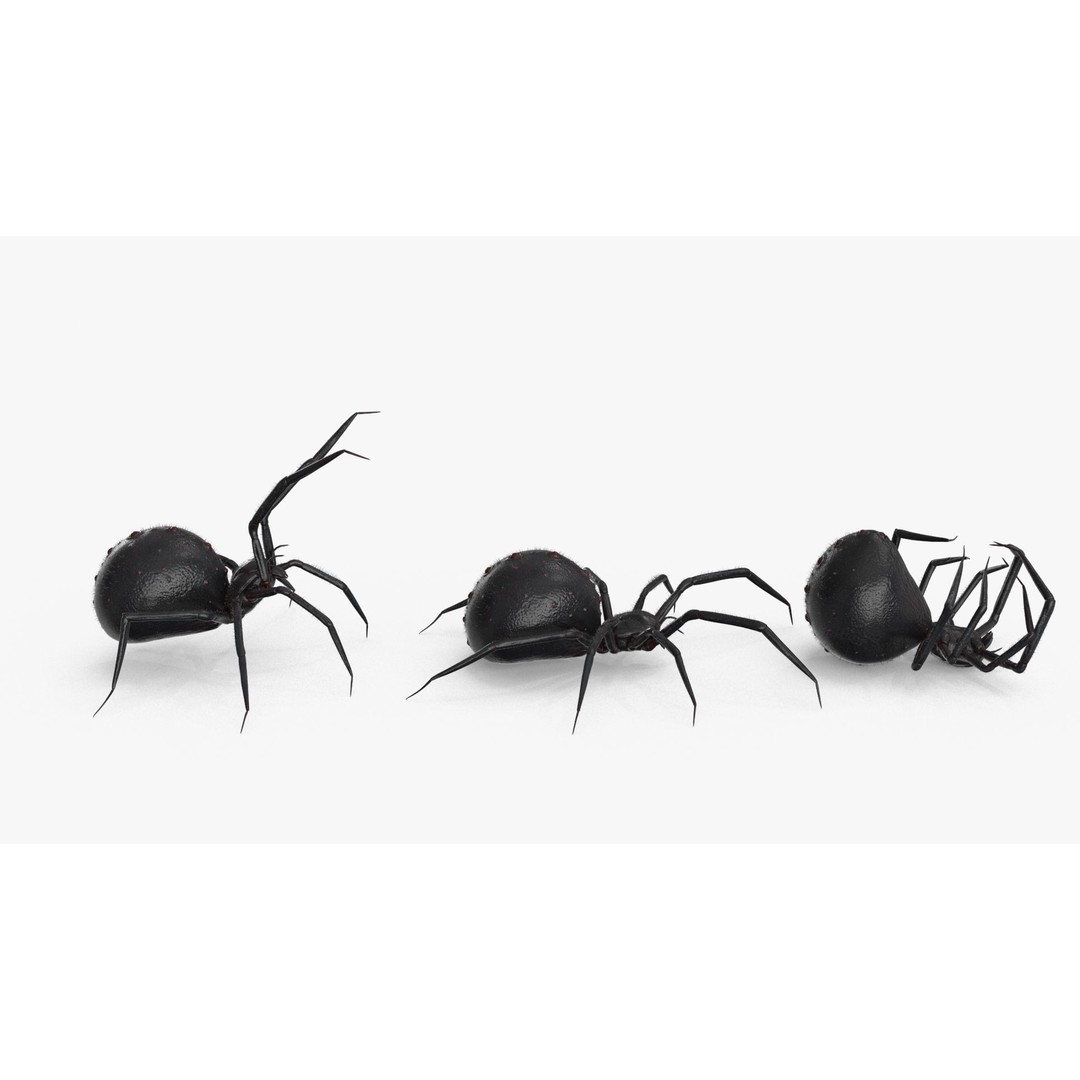 Spider 3D Model – Low Poly Rigged Insect with PBR Textures - View 15