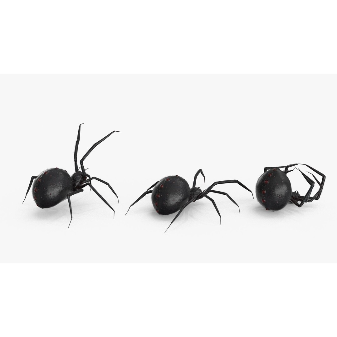 Spider 3D Model – Low Poly Rigged Insect with PBR Textures - View 16