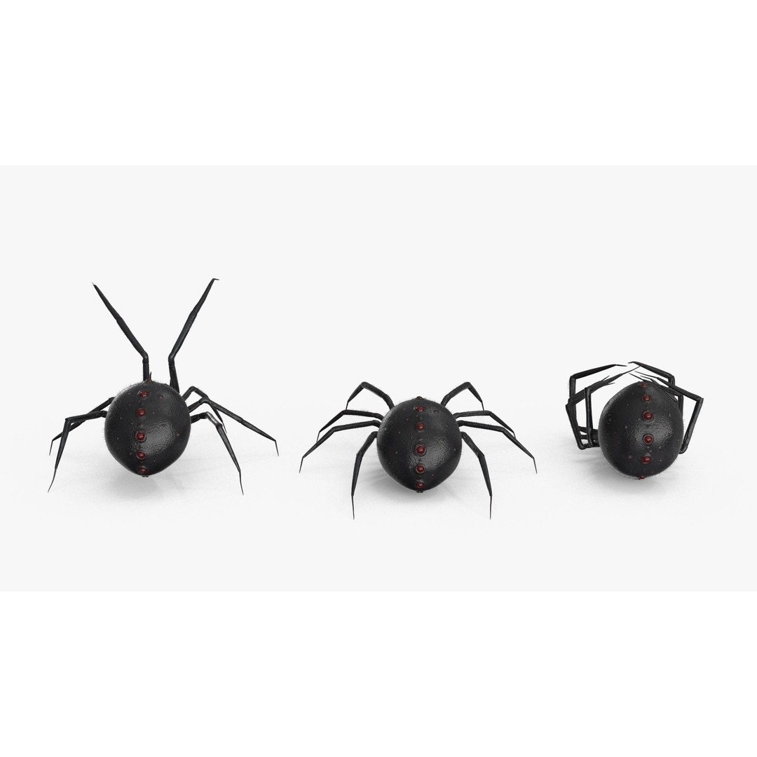 Spider 3D Model – Low Poly Rigged Insect with PBR Textures - View 17