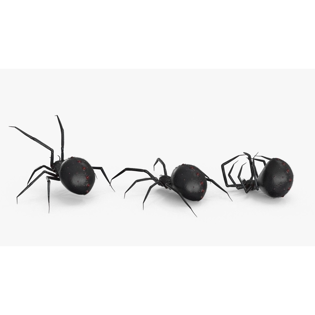 Spider 3D Model – Low Poly Rigged Insect with PBR Textures - View 18