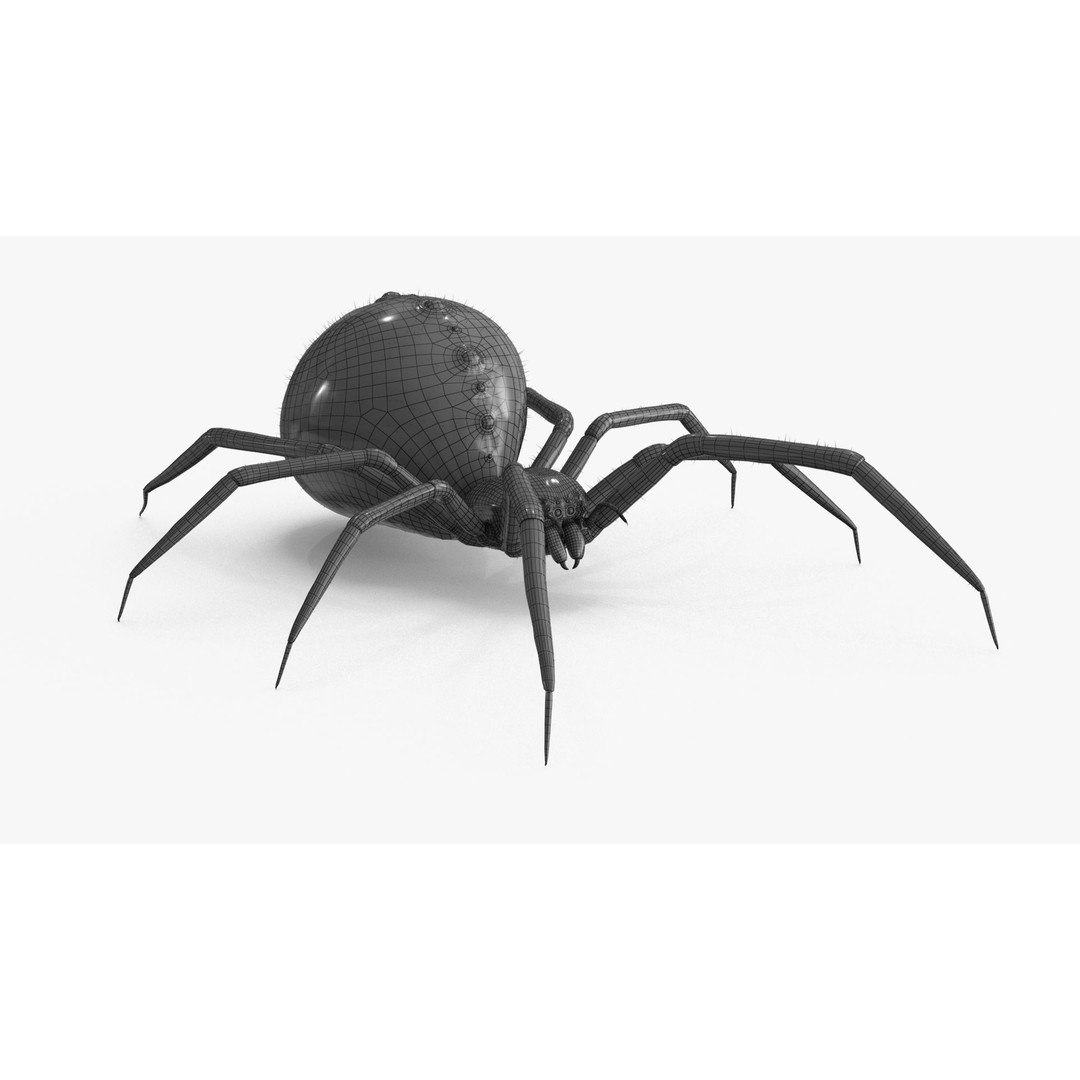Spider 3D Model – Low Poly Rigged Insect with PBR Textures - View 21