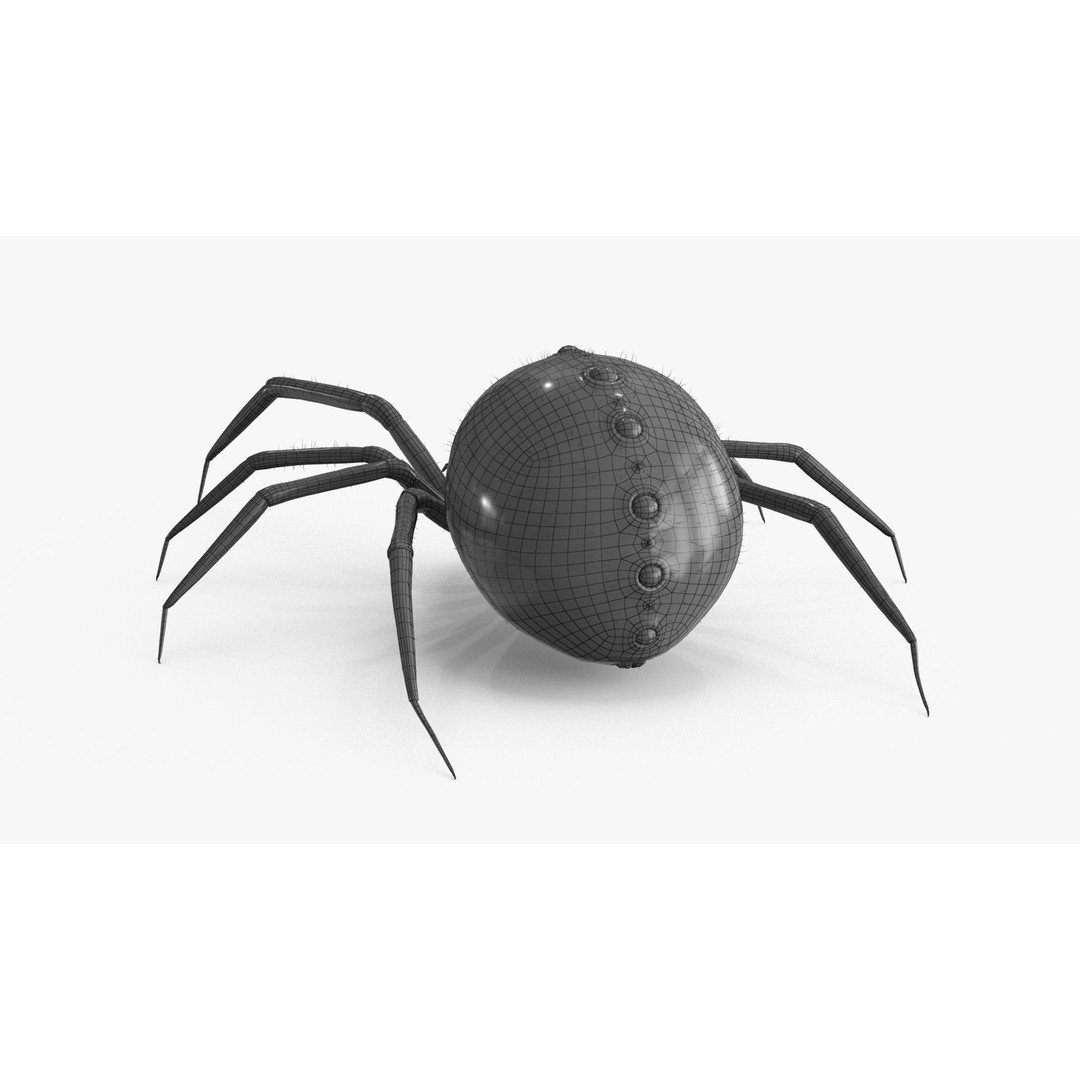 Spider 3D Model – Low Poly Rigged Insect with PBR Textures - View 22