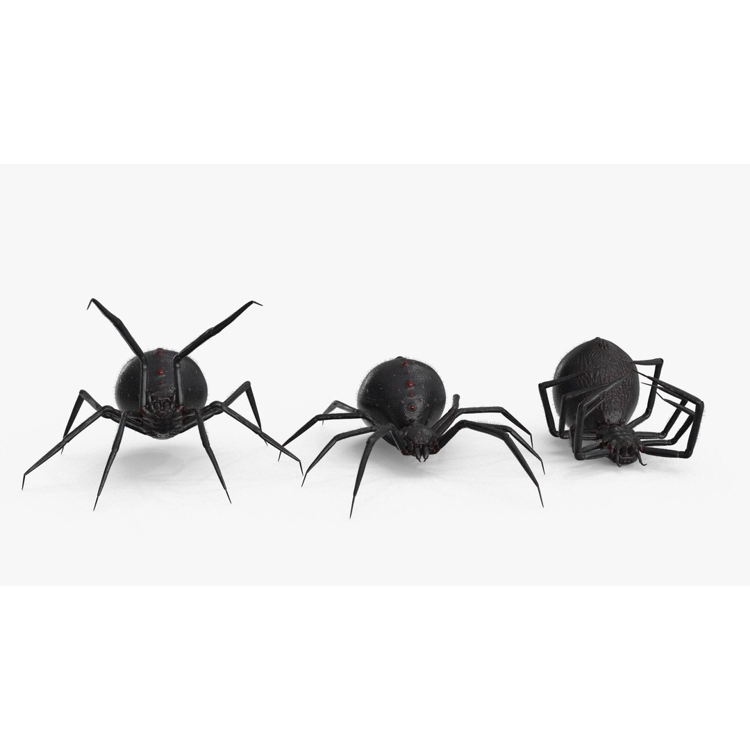 Spider 3D Model – Low Poly Rigged Insect with PBR Textures - View 4