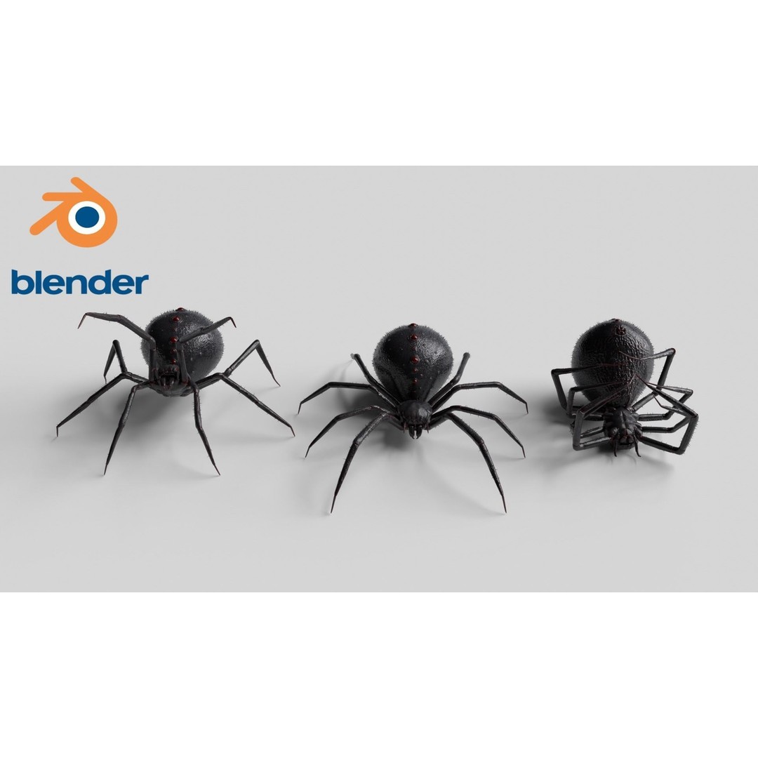 Spider 3D Model – Low Poly Rigged Insect with PBR Textures - View 9
