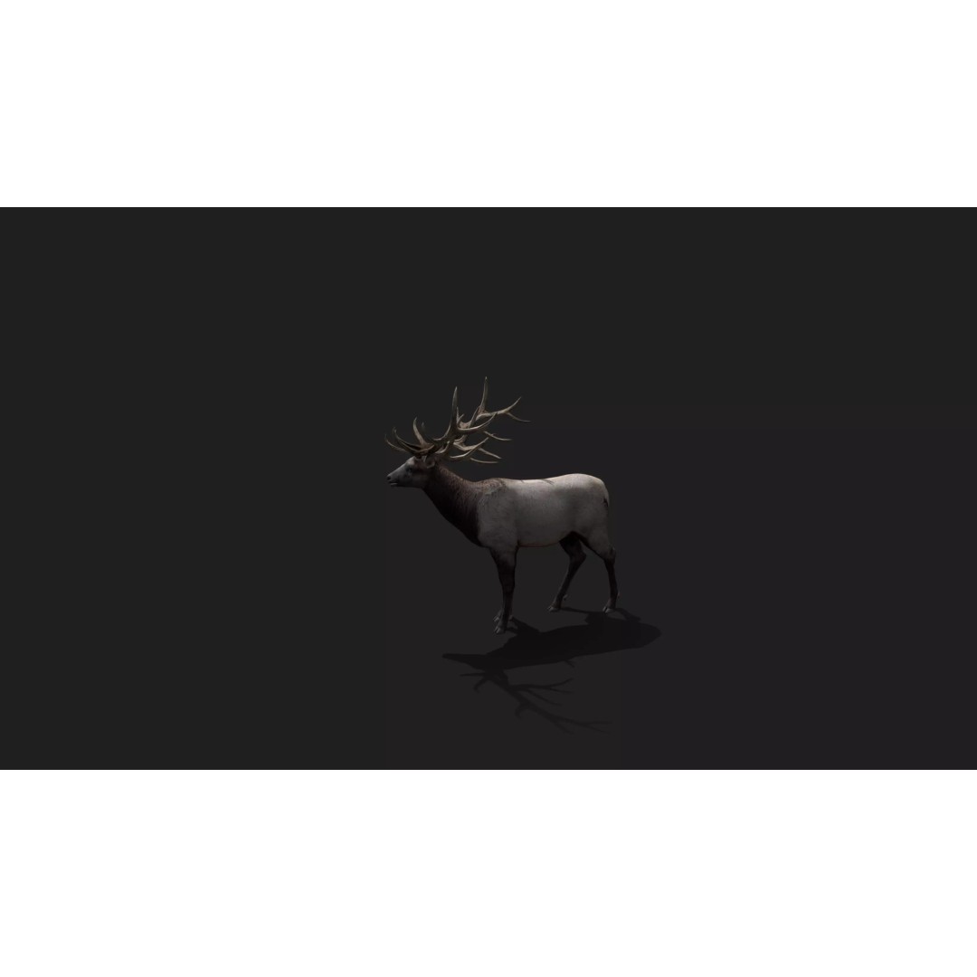 Deer 3D Model – Low Poly Animated Rigged Asset, FBX, OBJ