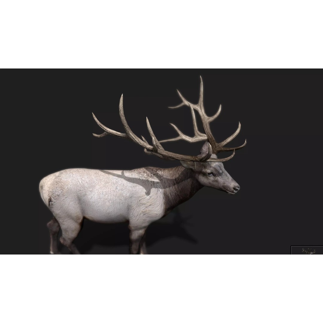 Deer 3D Model – Low Poly Animated Rigged Asset, FBX, OBJ - View 10