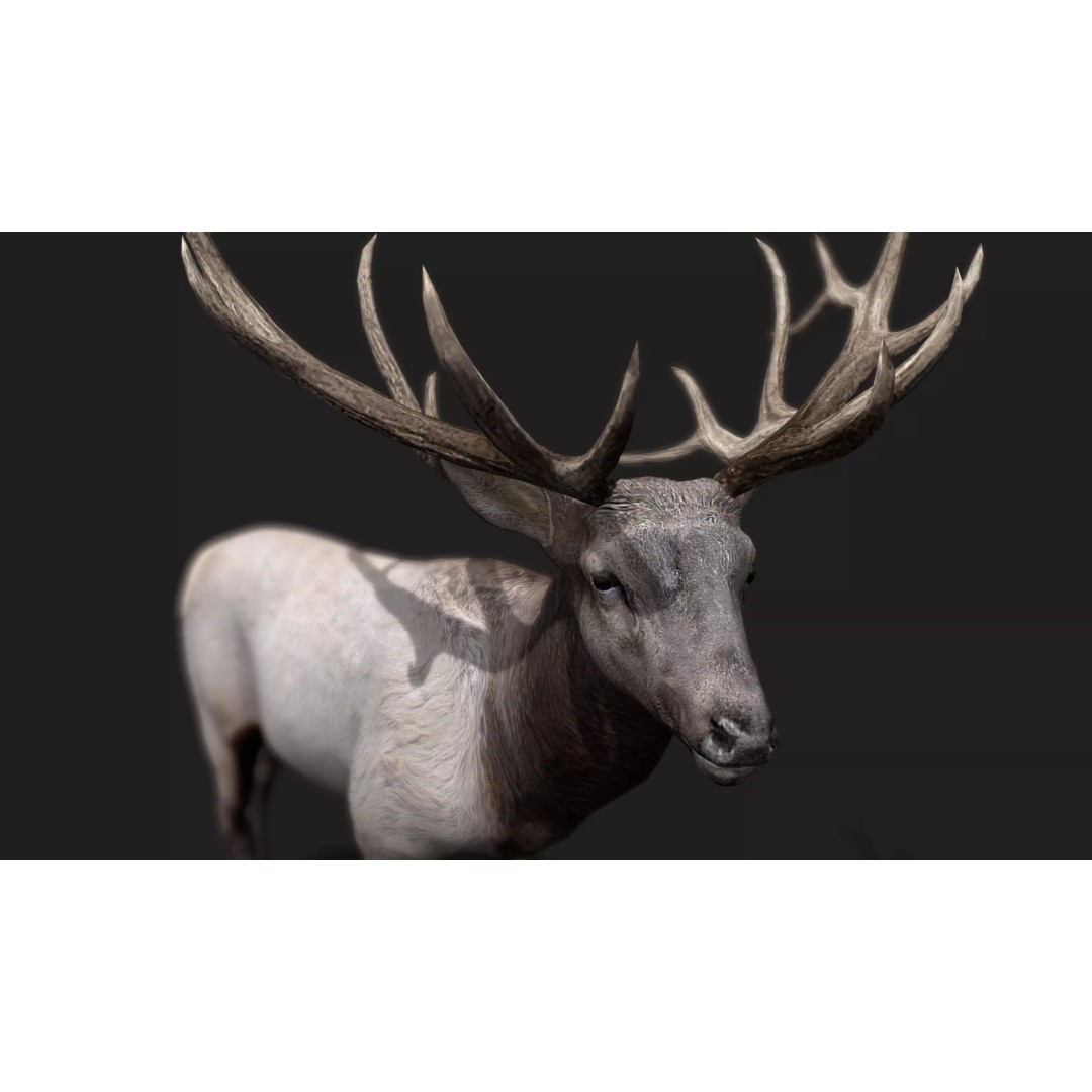 Deer 3D Model – Low Poly Animated Rigged Asset, FBX, OBJ - View 12