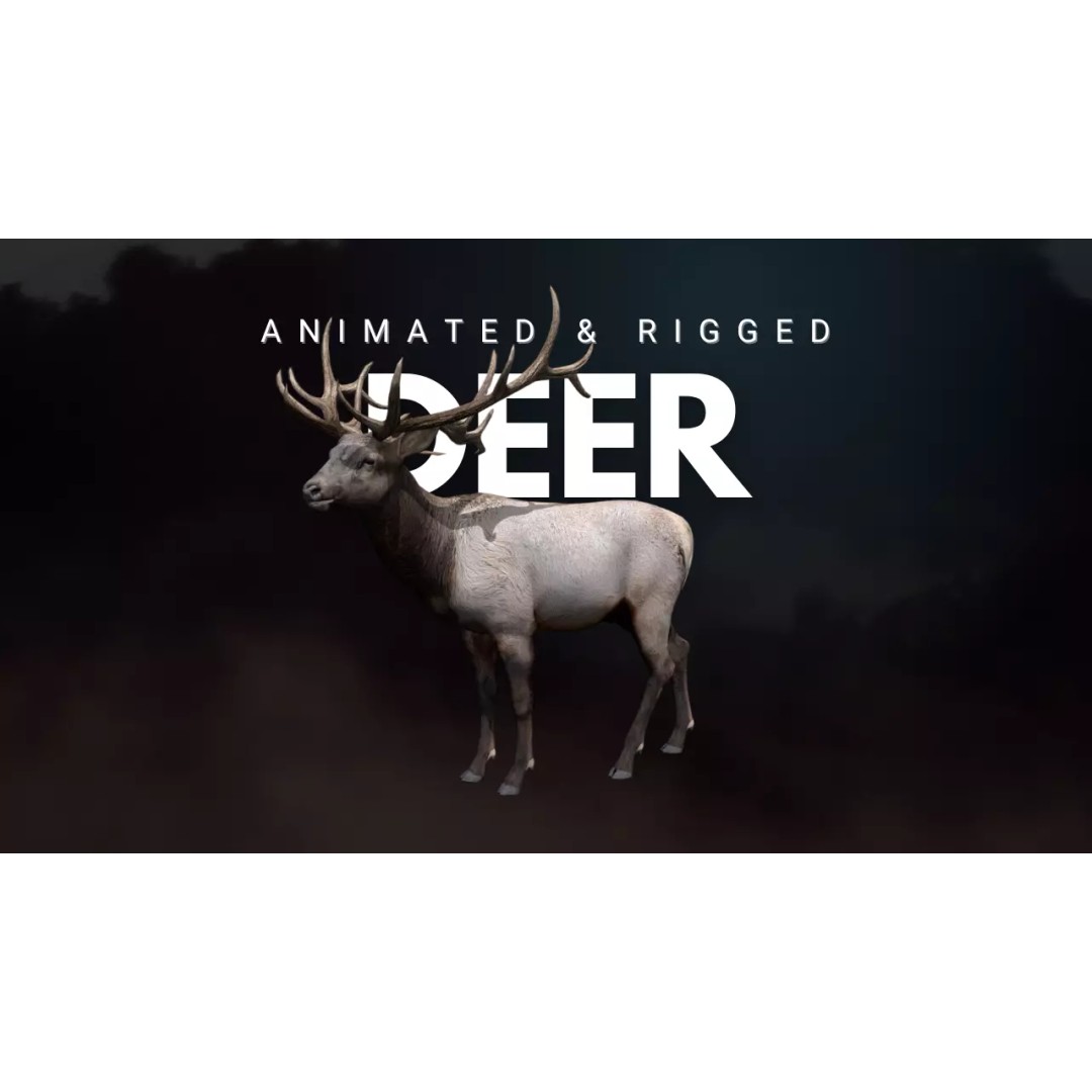 Deer 3D Model – Low Poly Animated Rigged Asset, FBX, OBJ - View 2