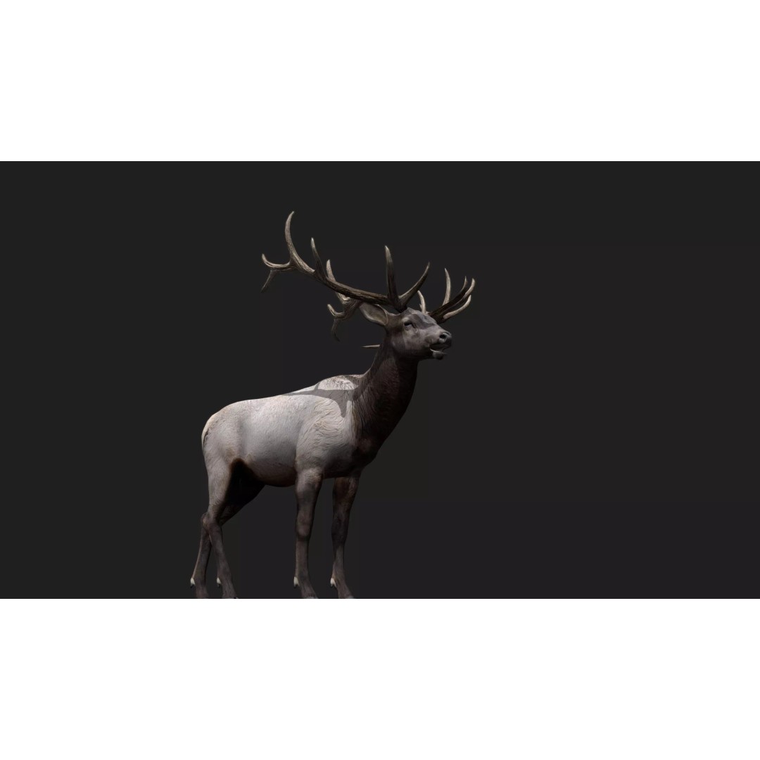 Deer 3D Model – Low Poly Animated Rigged Asset, FBX, OBJ - View 3