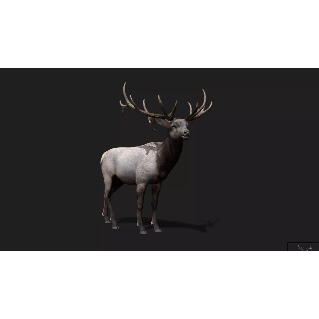 Deer 3D Model – Low Poly Animated Rigged Asset, FBX, OBJ - View 5
