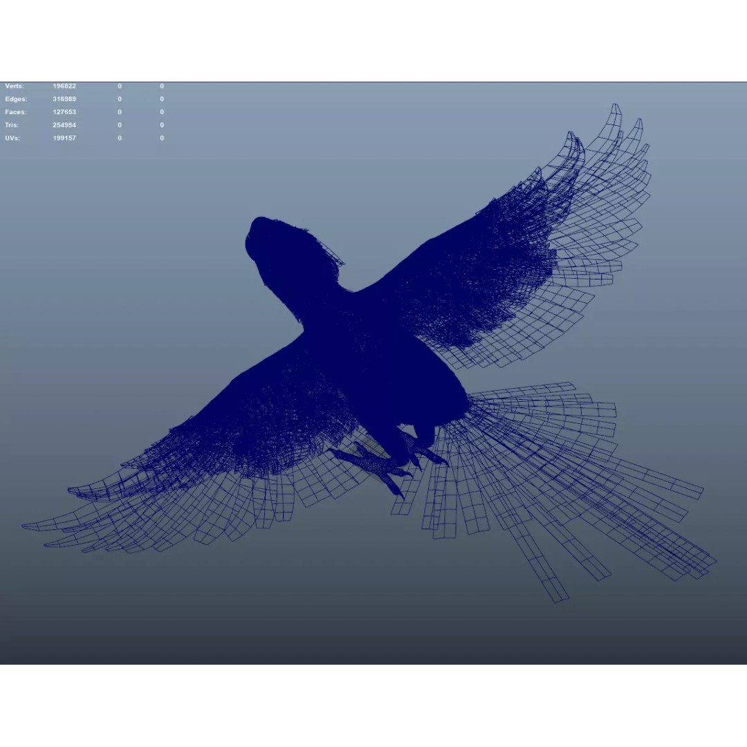 Parrot 3D Model – Realistic Rigged Bird Asset, FBX/OBJ