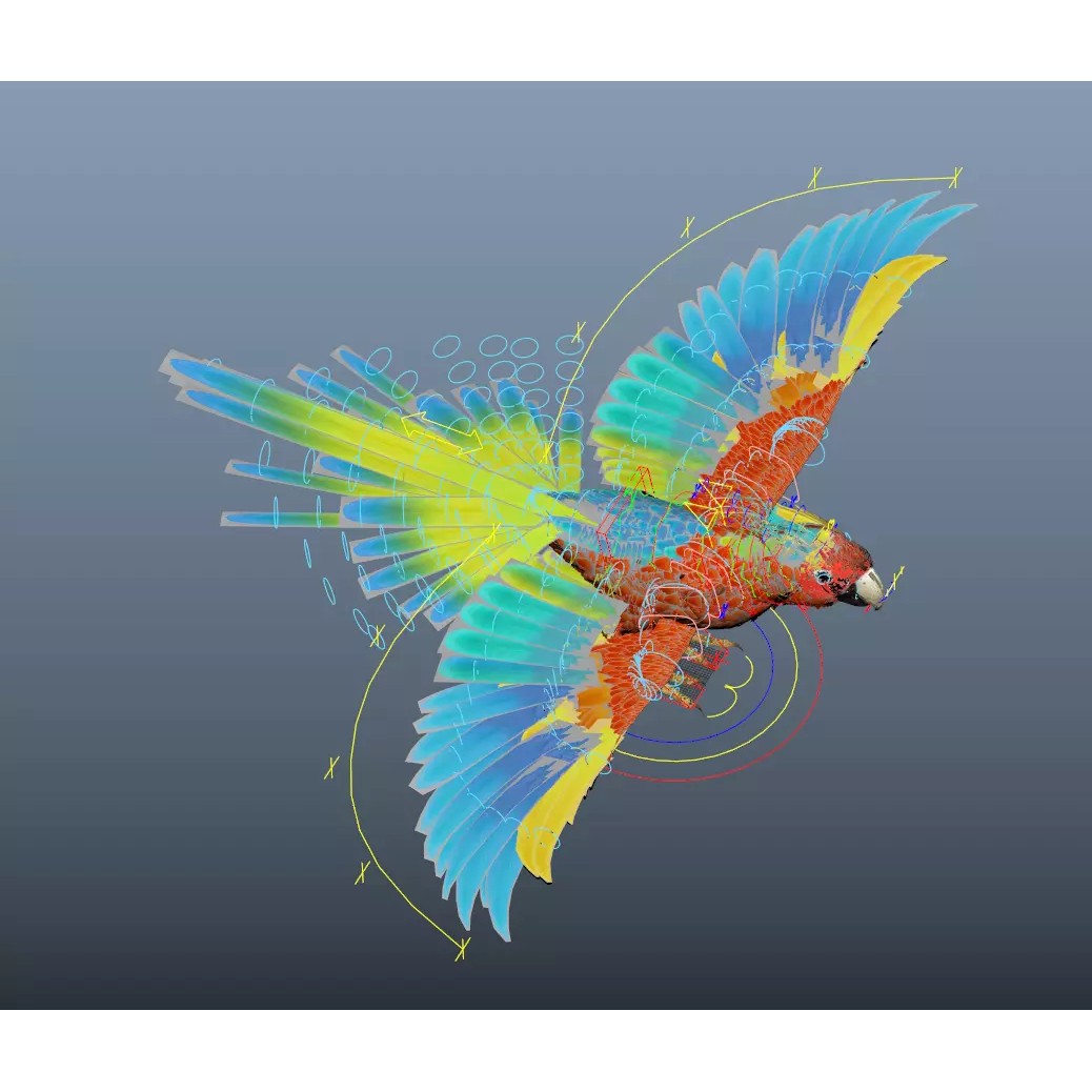 Parrot 3D Model – Realistic Rigged Bird Asset, FBX/OBJ - View 11