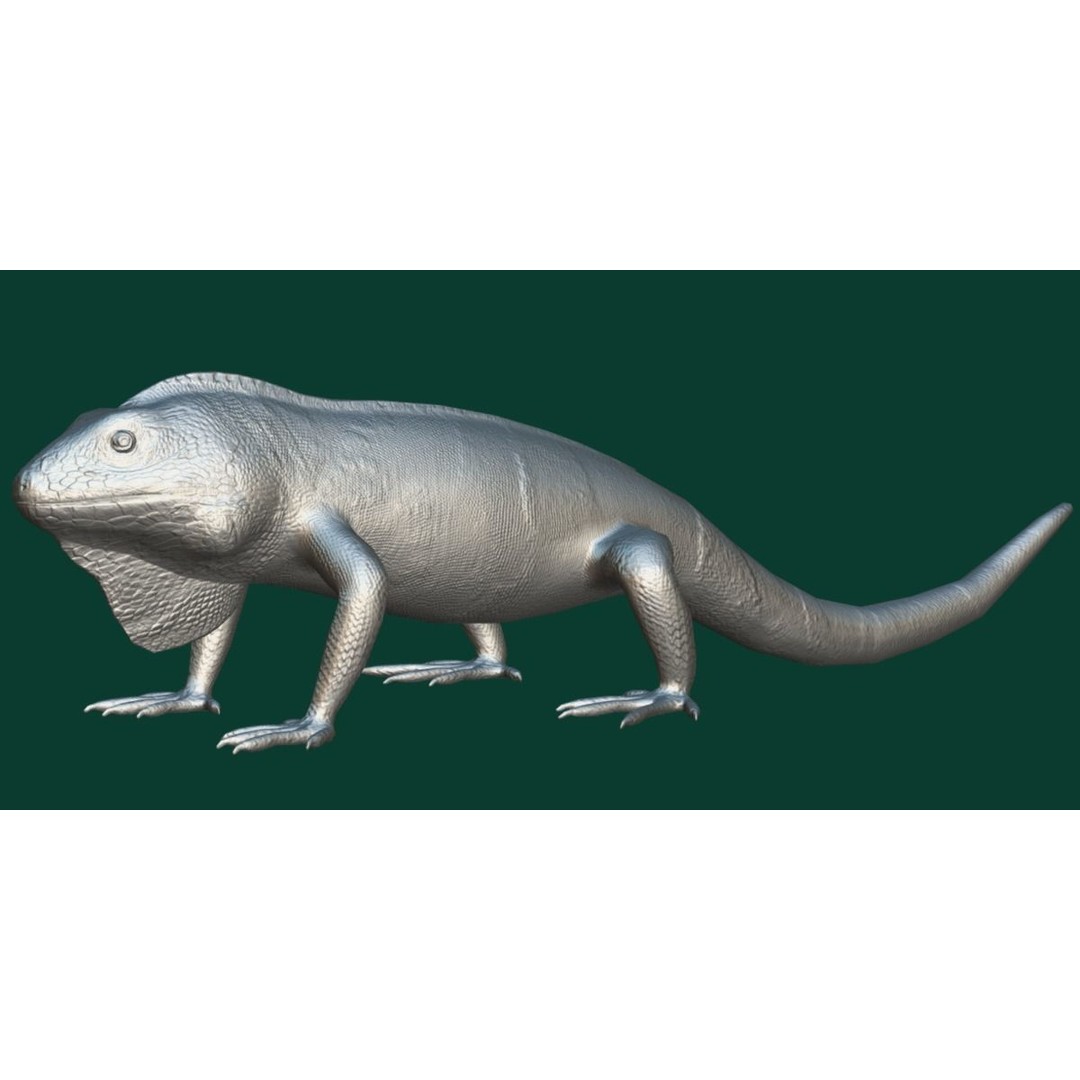 Fiji Banded Iguana 3D Model – Low Poly Game Asset with Animations - View 11
