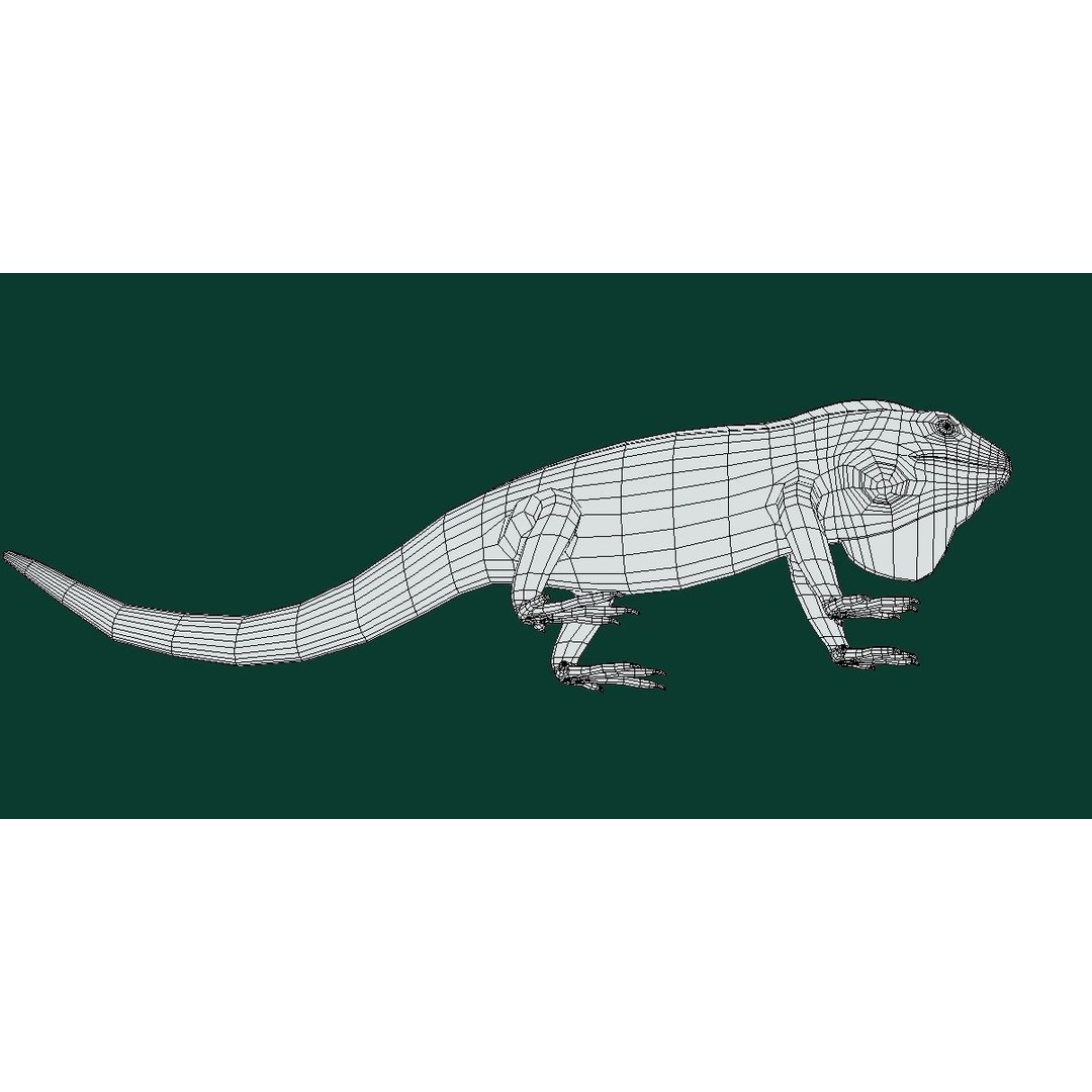 Fiji Banded Iguana 3D Model – Low Poly Game Asset with Animations - View 13