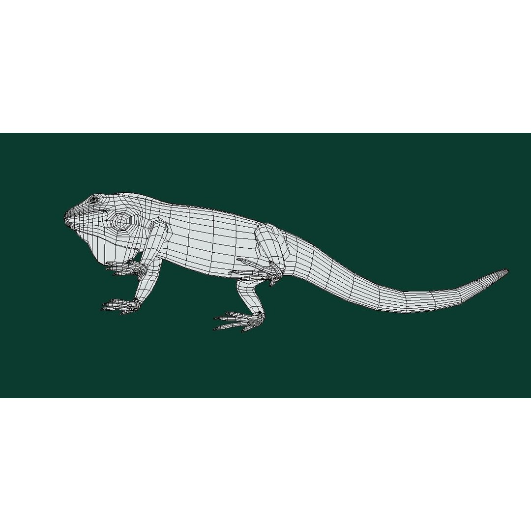 Fiji Banded Iguana 3D Model – Low Poly Game Asset with Animations - View 14