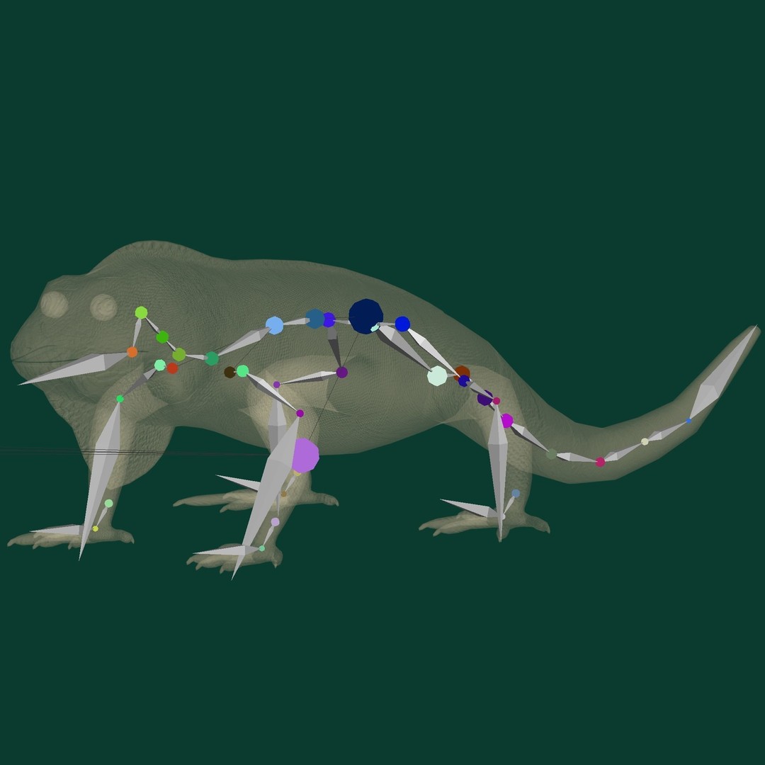 Fiji Banded Iguana 3D Model – Low Poly Game Asset with Animations - View 18
