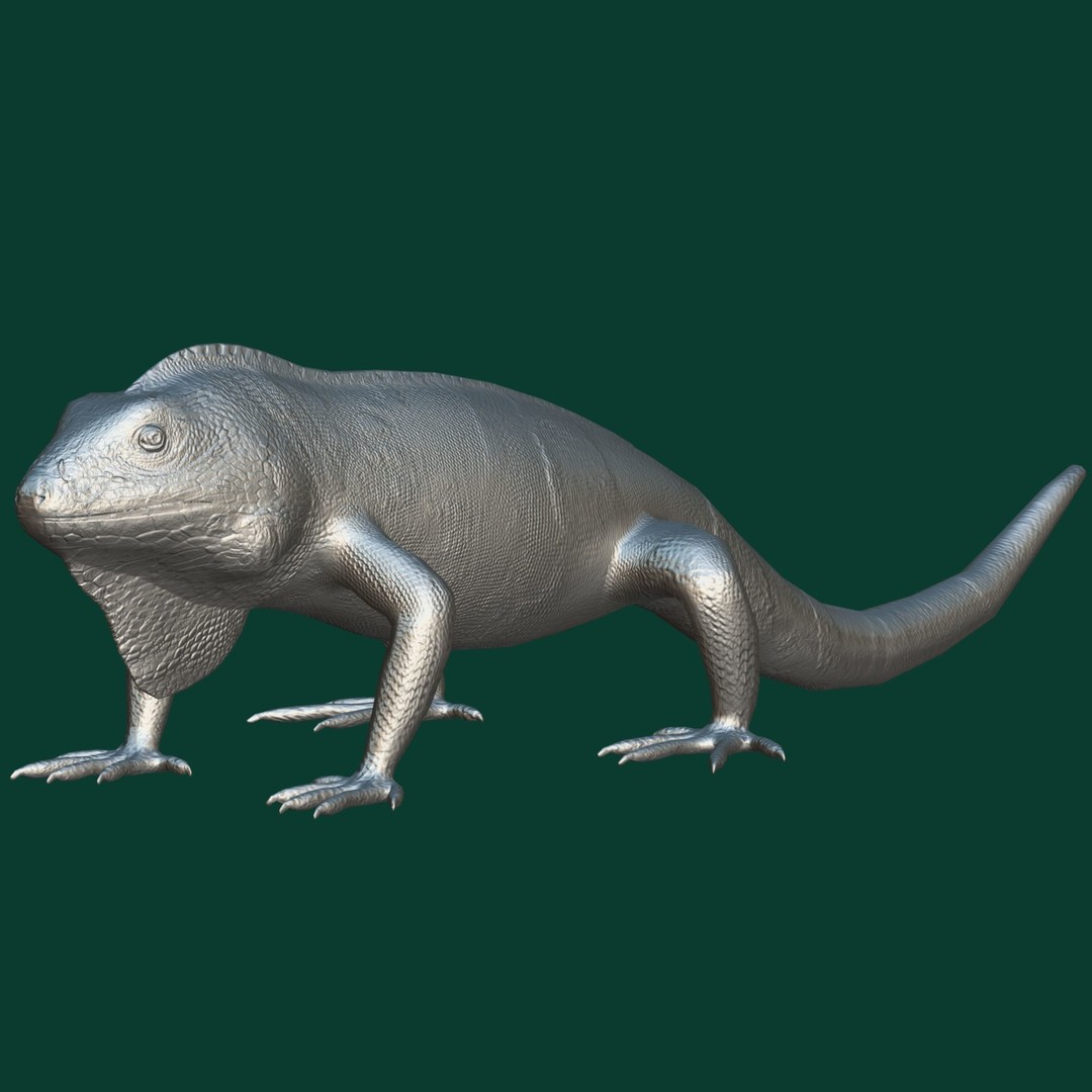 Fiji Banded Iguana 3D Model – Low Poly Game Asset with Animations - View 20