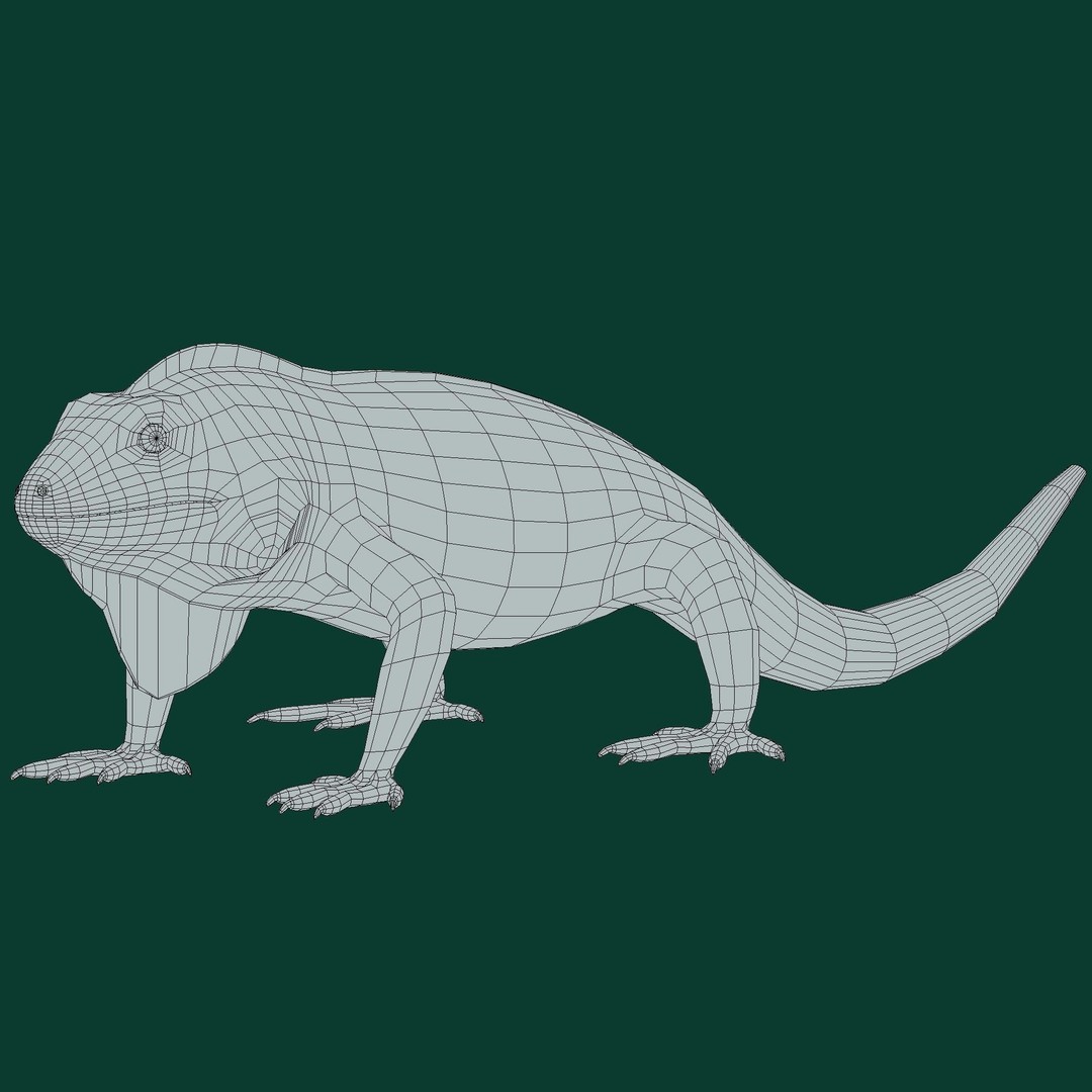 Fiji Banded Iguana 3D Model – Low Poly Game Asset with Animations - View 21