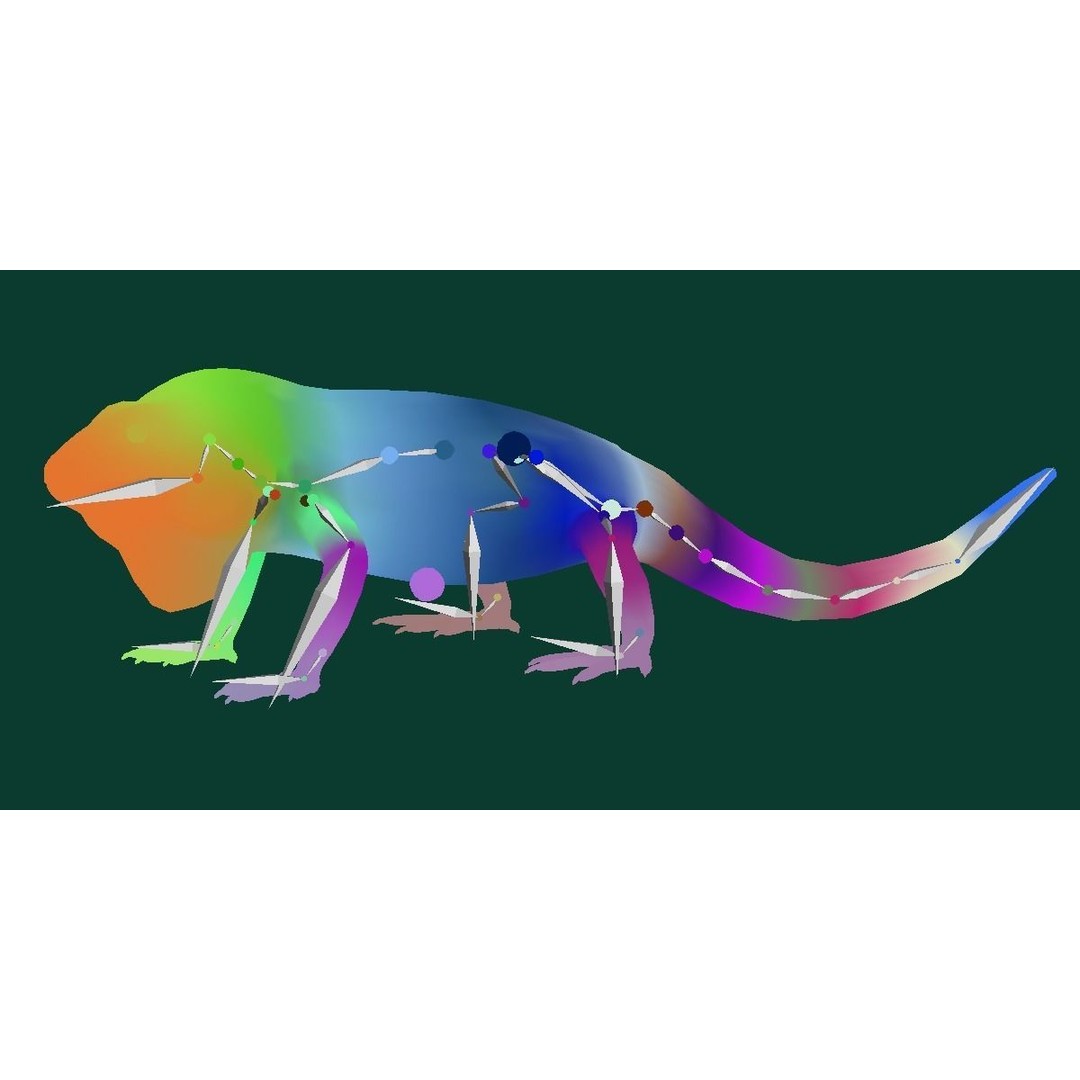 Fiji Banded Iguana 3D Model – Low Poly Game Asset with Animations - View 23