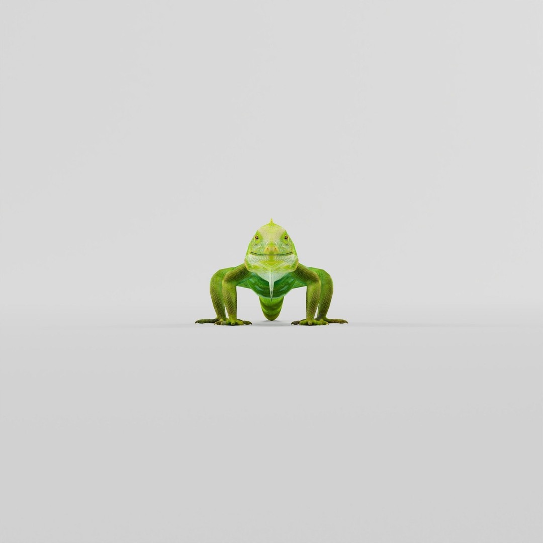 Fiji Banded Iguana 3D Model – Low Poly Game Asset with Animations - View 4