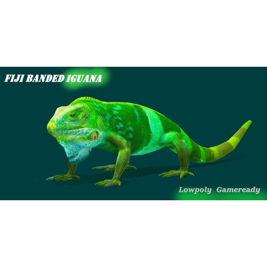 Fiji Banded Iguana 3D Model – Low Poly Game Asset with Animations - View 7
