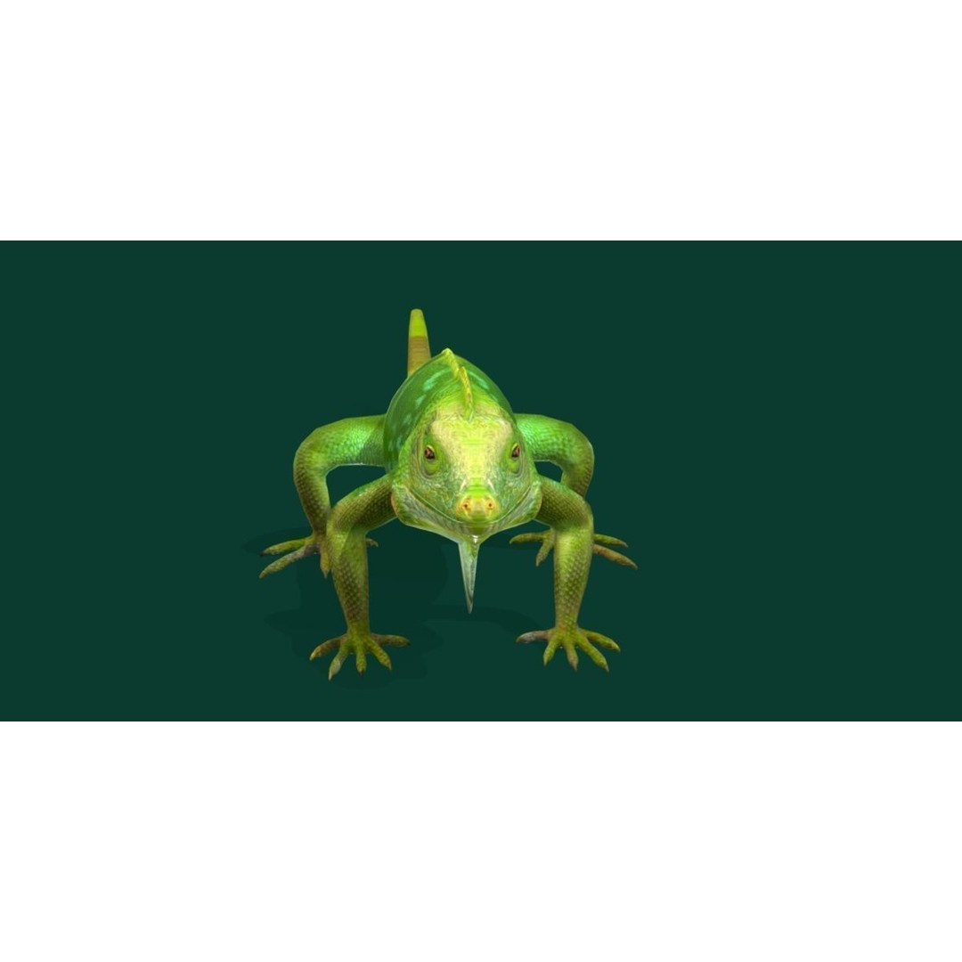 Fiji Banded Iguana 3D Model – Low Poly Game Asset with Animations - View 9