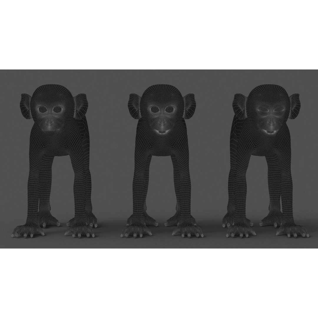 Young Rhesus Monkey 3D Model – High Detail Static Version, Maya