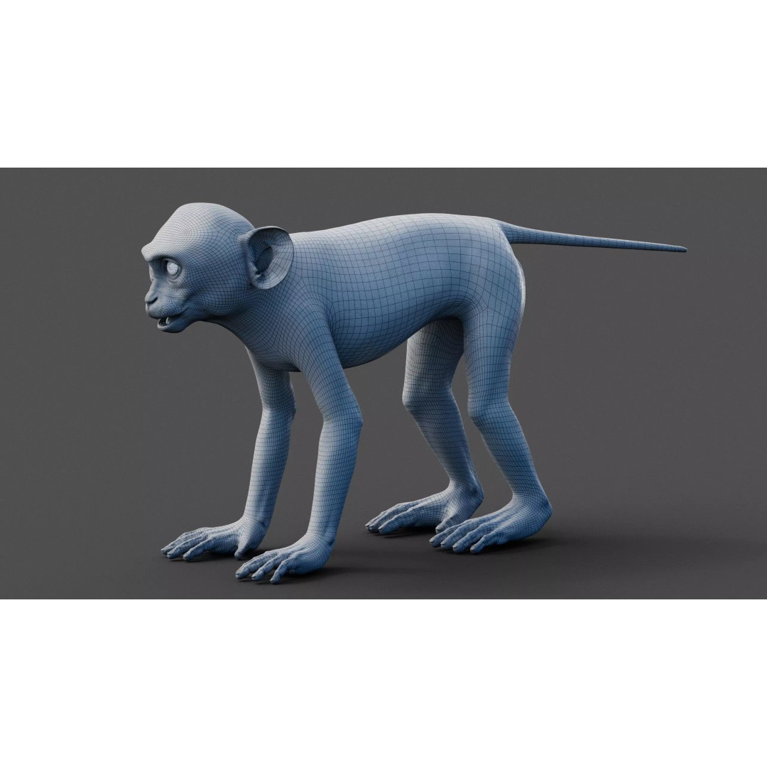 Young Rhesus Monkey 3D Model – High Detail Static Version, Maya - View 16