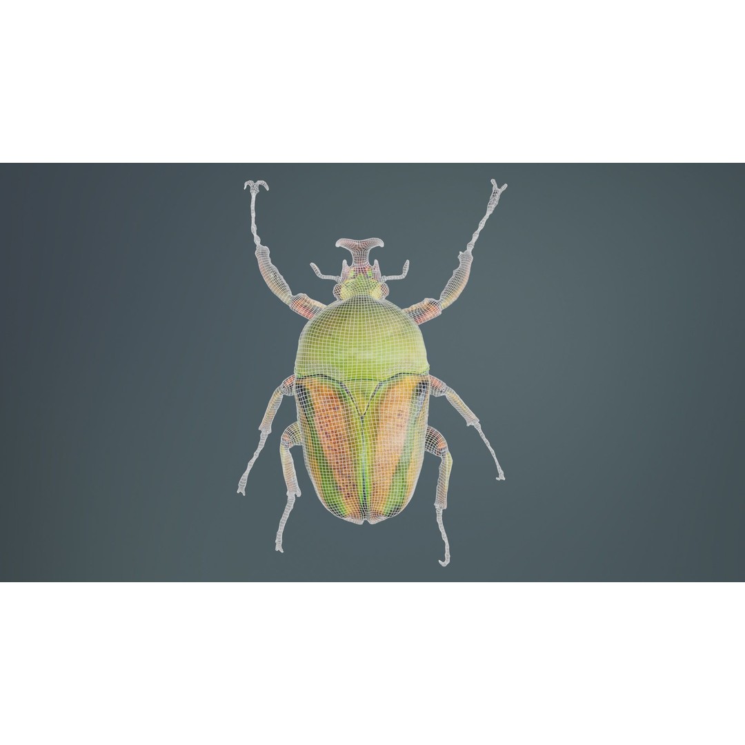 Phyllopertha Horticola Rose Beetle 3D Model – Low Poly Game Asset, FBX - View 11