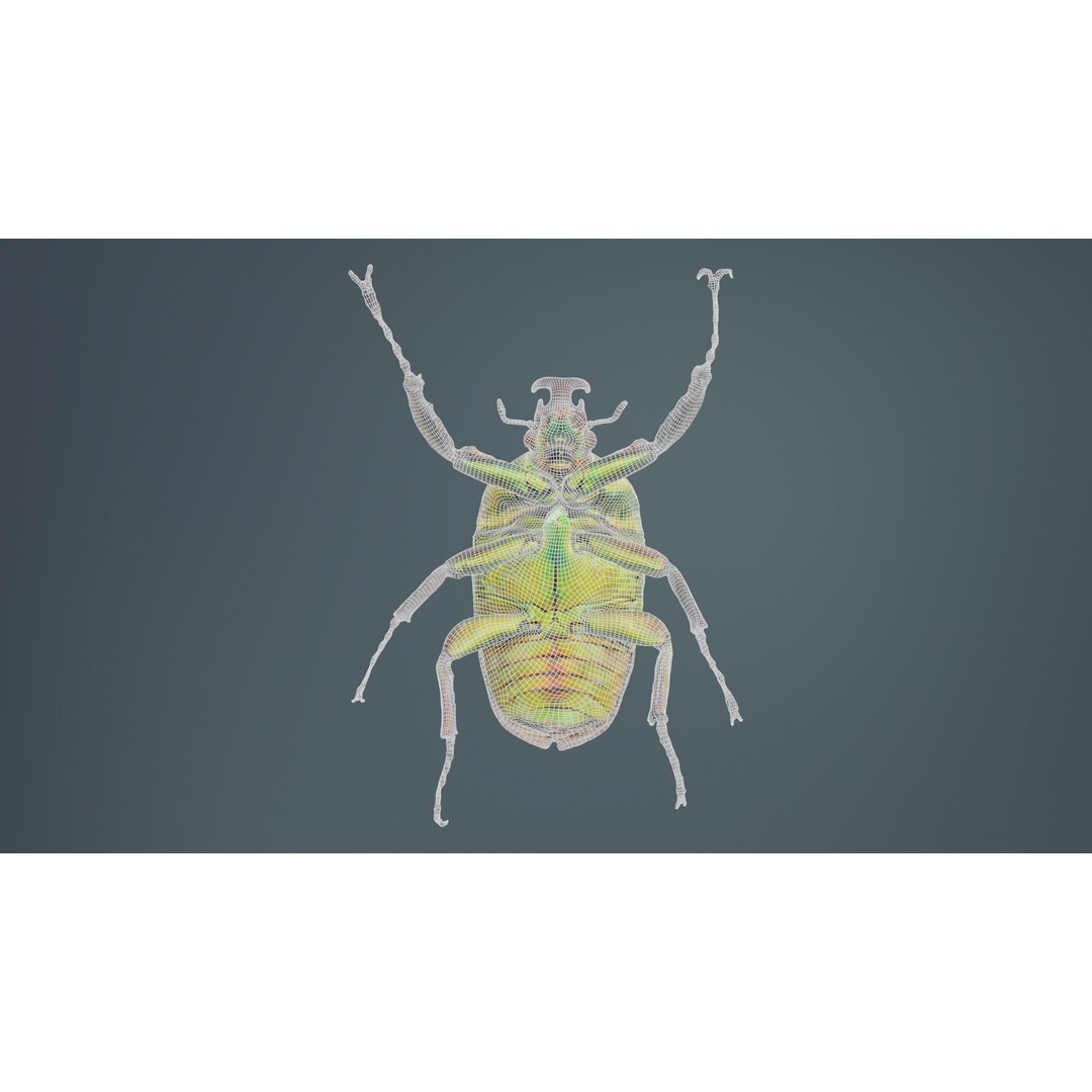 Phyllopertha Horticola Rose Beetle 3D Model – Low Poly Game Asset, FBX - View 12