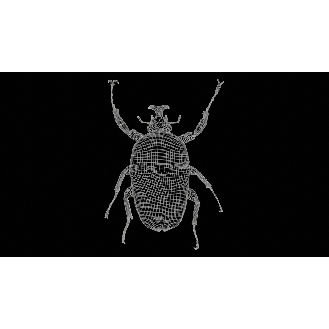 Phyllopertha Horticola Rose Beetle 3D Model – Low Poly Game Asset, FBX - View 13