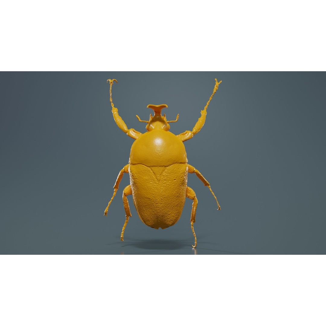 Phyllopertha Horticola Rose Beetle 3D Model – Low Poly Game Asset, FBX - View 14