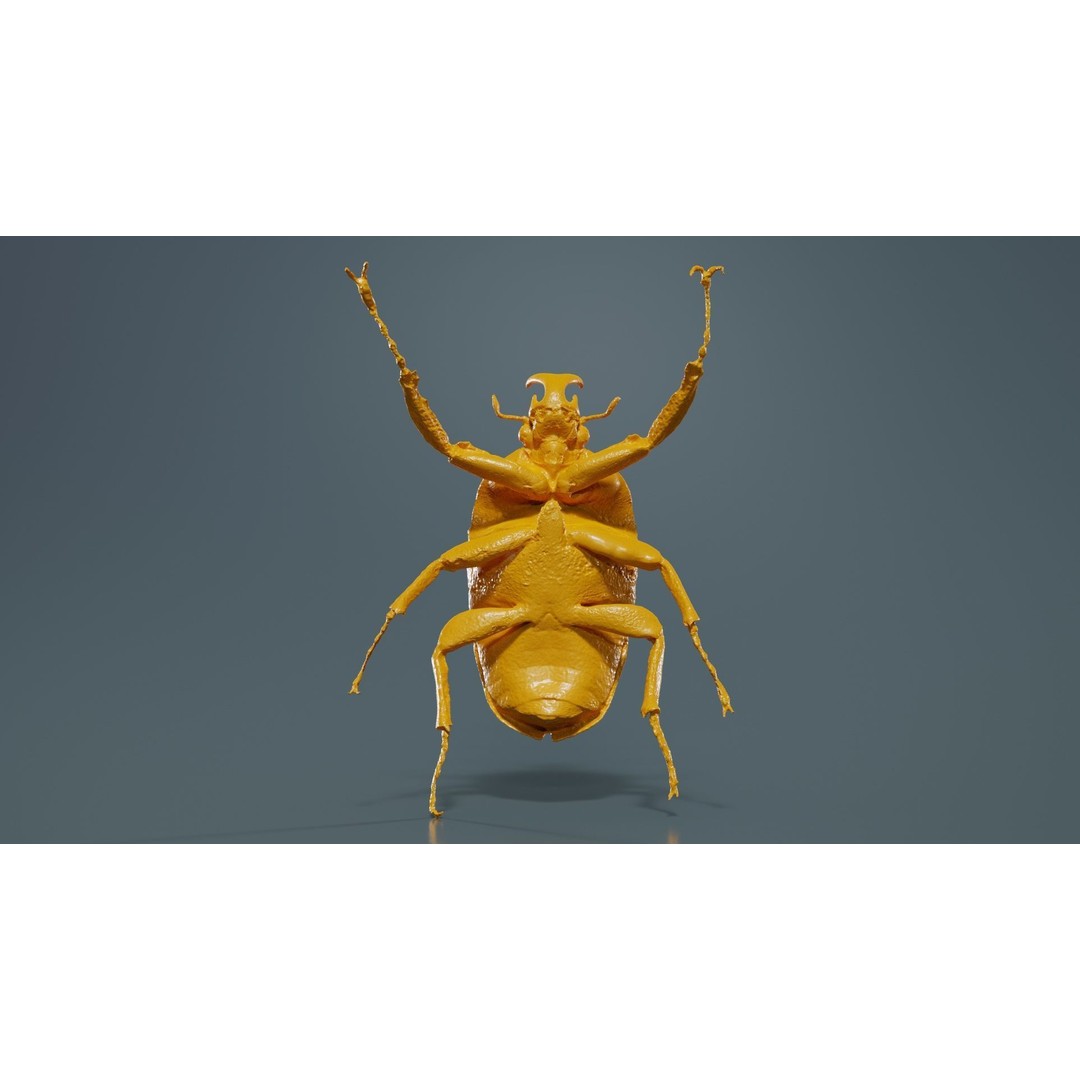 Phyllopertha Horticola Rose Beetle 3D Model – Low Poly Game Asset, FBX - View 15