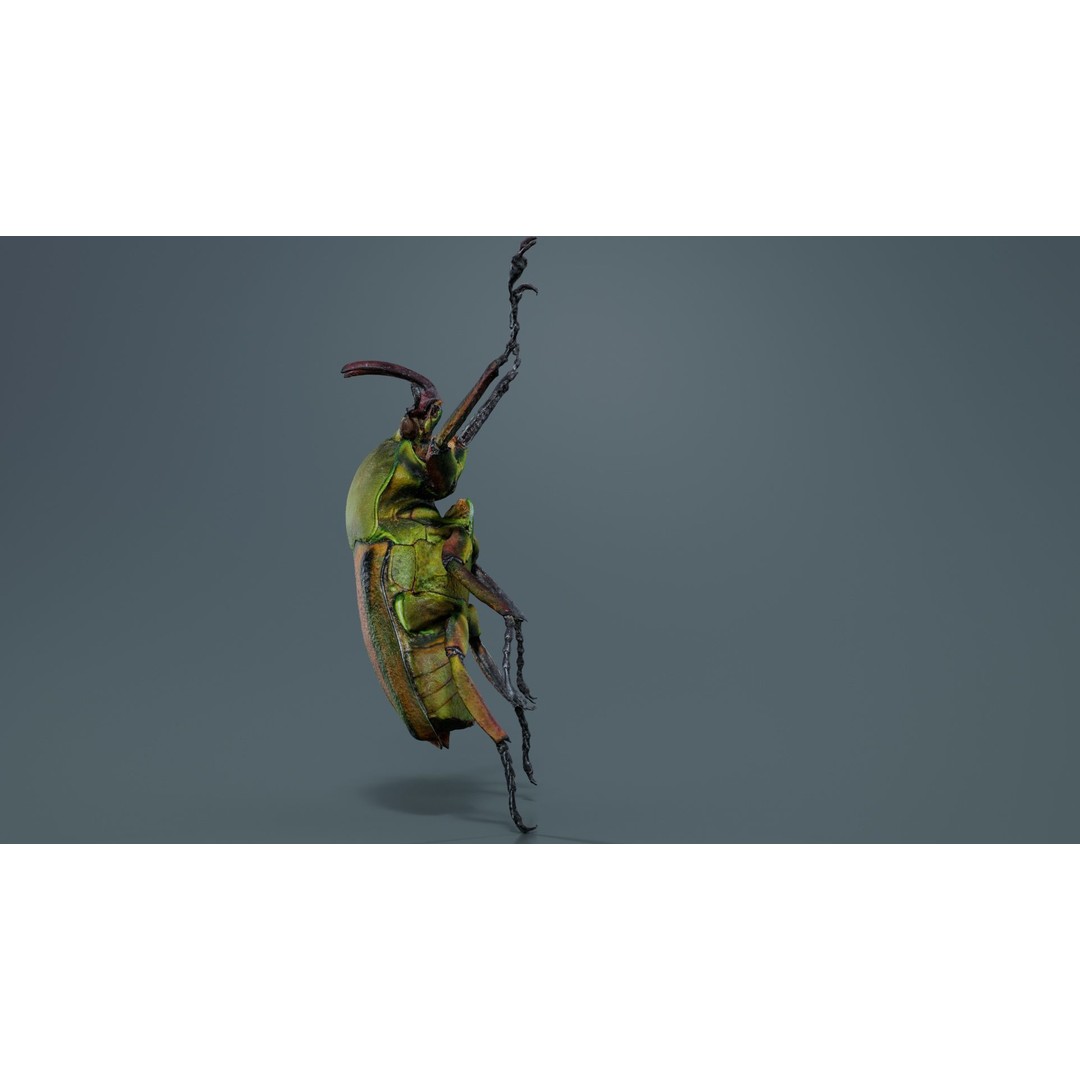 Phyllopertha Horticola Rose Beetle 3D Model – Low Poly Game Asset, FBX - View 8