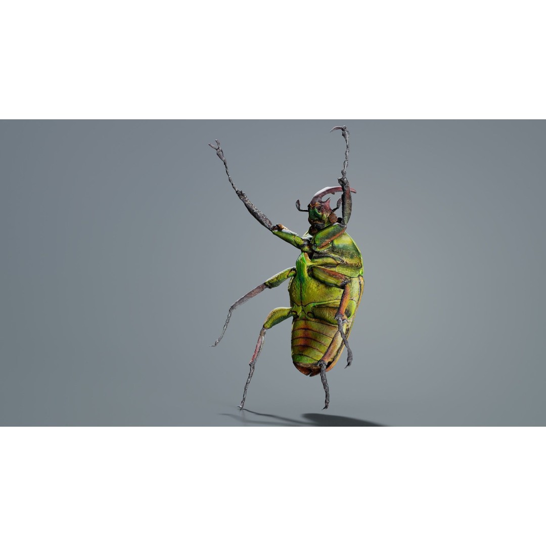Phyllopertha Horticola Rose Beetle 3D Model – Low Poly Game Asset, FBX - View 9