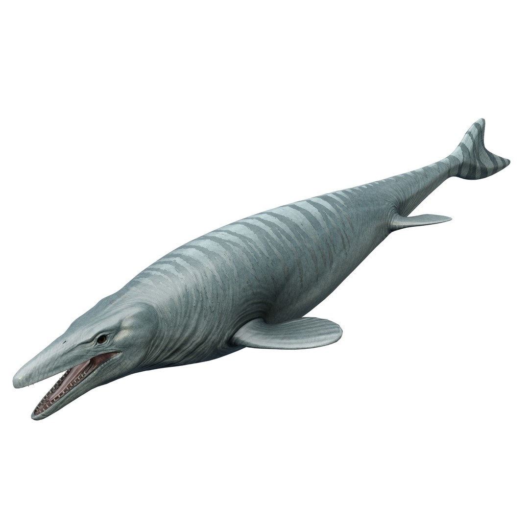 Mosasaurus 3D Model – Low Poly Animated Creature, FBX - View 10