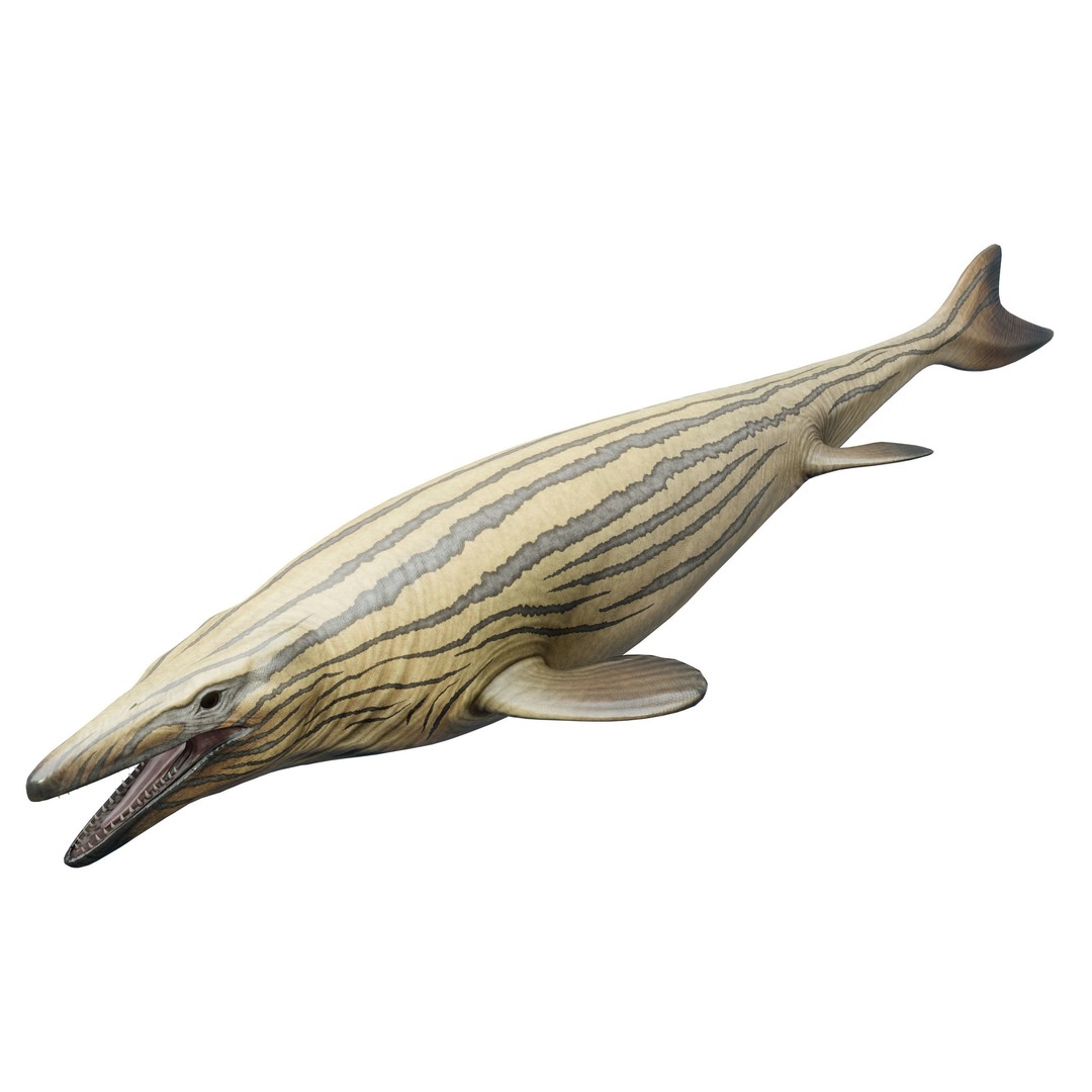 Mosasaurus 3D Model – Low Poly Animated Creature, FBX - View 11