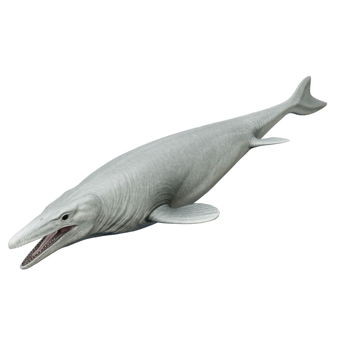 Mosasaurus 3D Model – Low Poly Animated Creature, FBX - View 12