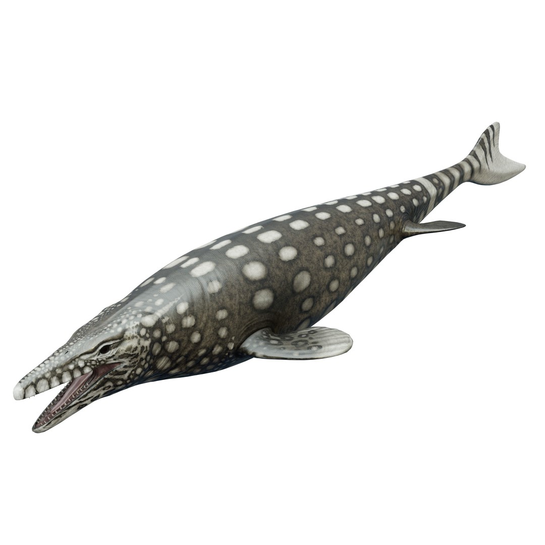 Mosasaurus 3D Model – Low Poly Animated Creature, FBX - View 13